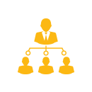 Robust Organization structure
